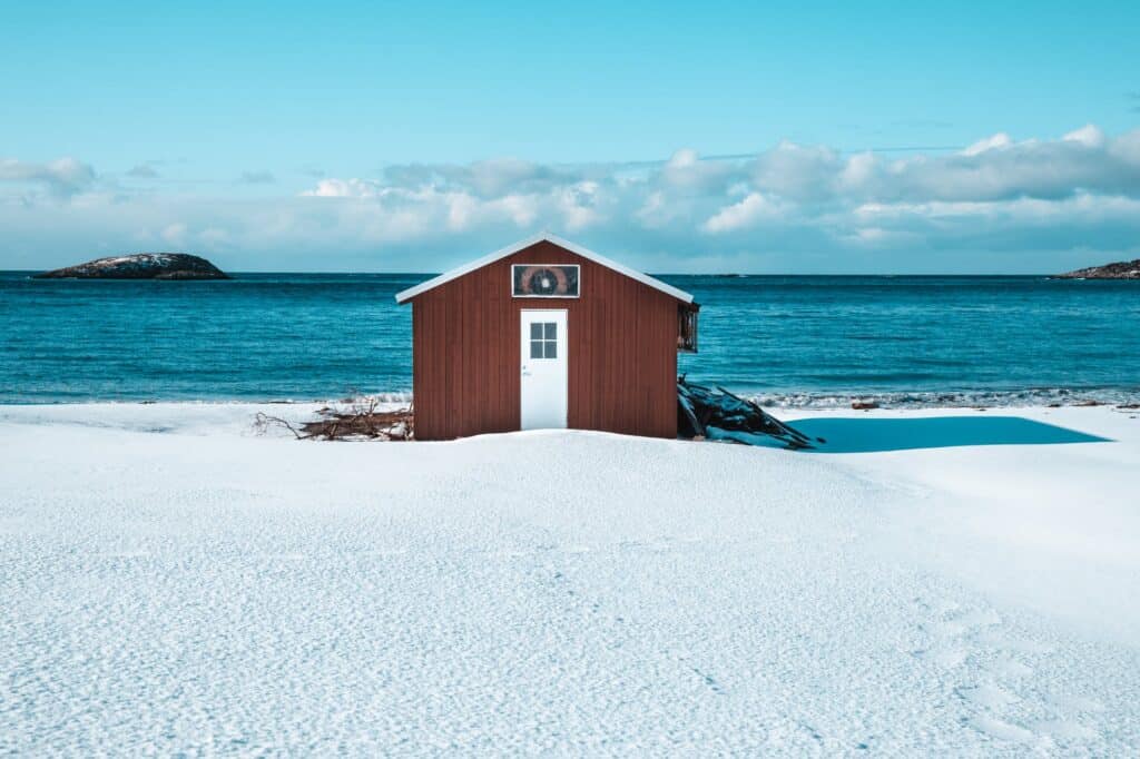 brown and white wooden shed