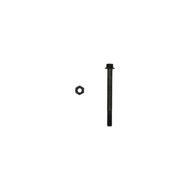 A black screw and nut on a white background.