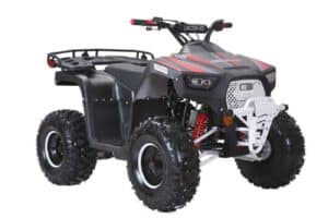 A red and black atv on a white background | LANDER-XD 125UF