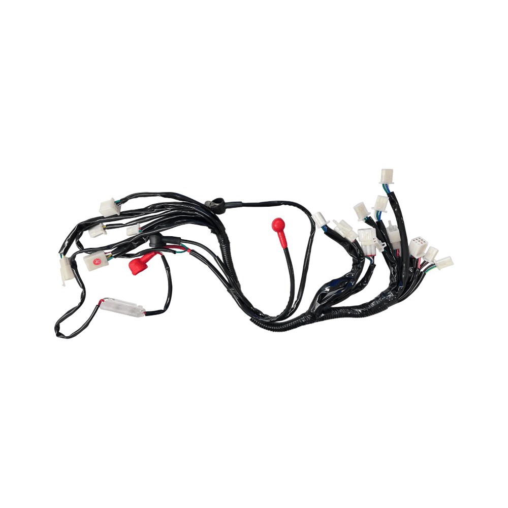 Complete Wiring Harness for 3125XR8-U (WIRE-29) (DQL-EA012)