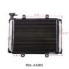 RADIATOR GK6250 DBL (RAD-2) (FDJ-SA003)