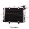 Motorcycle Radiator: Radiator 6250 DBL (RAD-2) (FDJ-SA003)