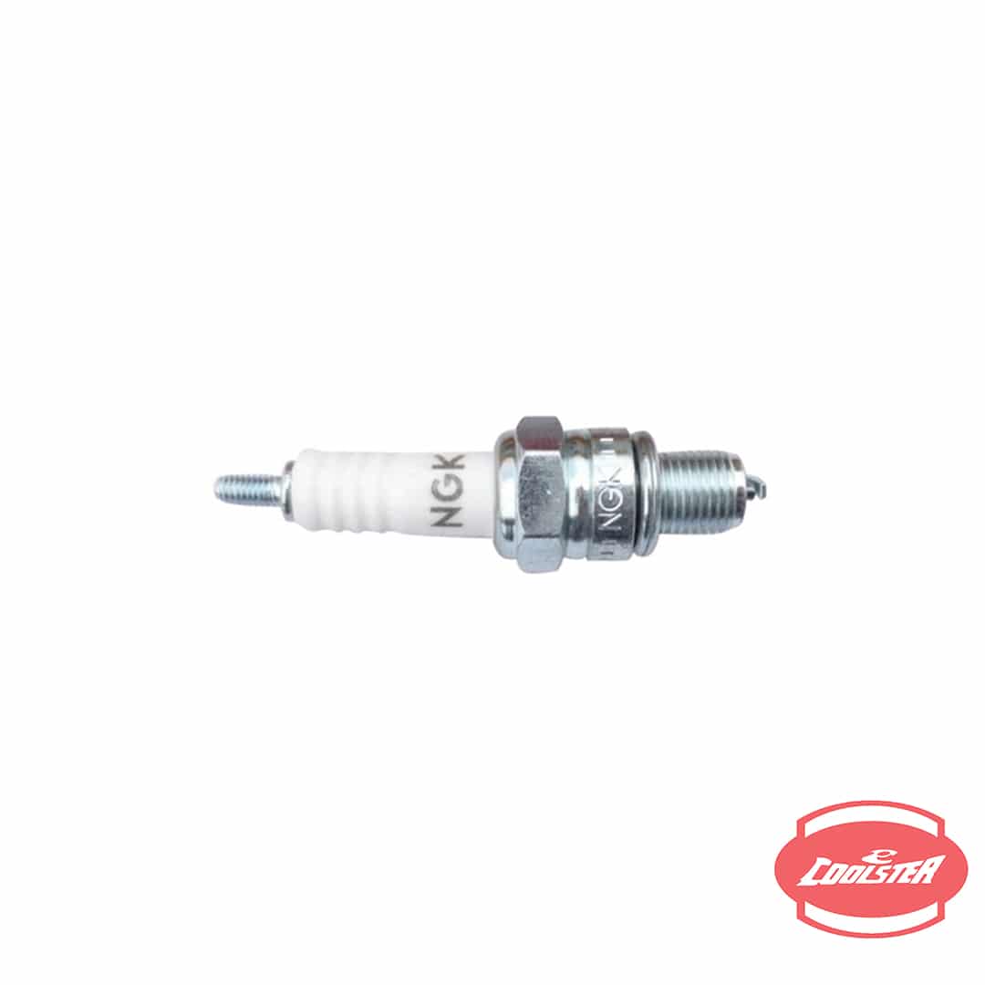 Spark Plug