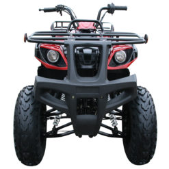 Coolster ATV-3150DX-2 / 150cc Fully Automatic Mid Sized ATV