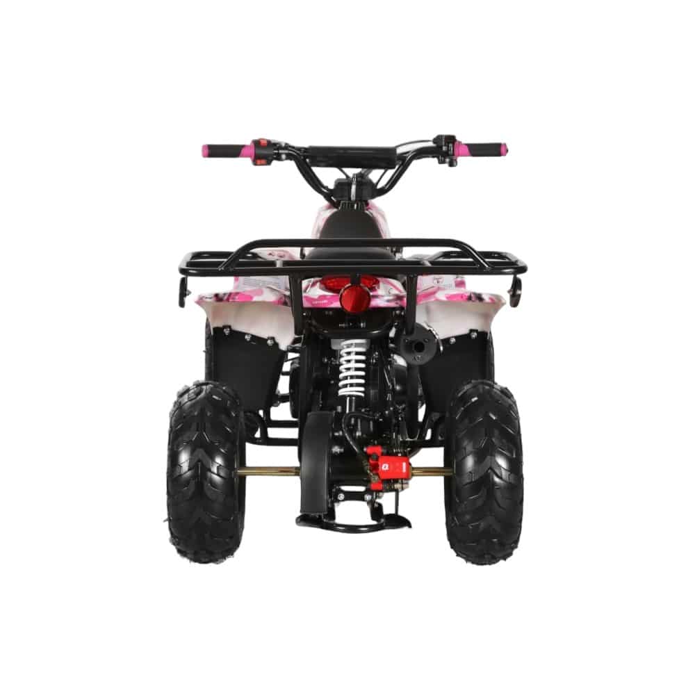 Coolster 110cc ATV - Mini Fully Automatic ATV