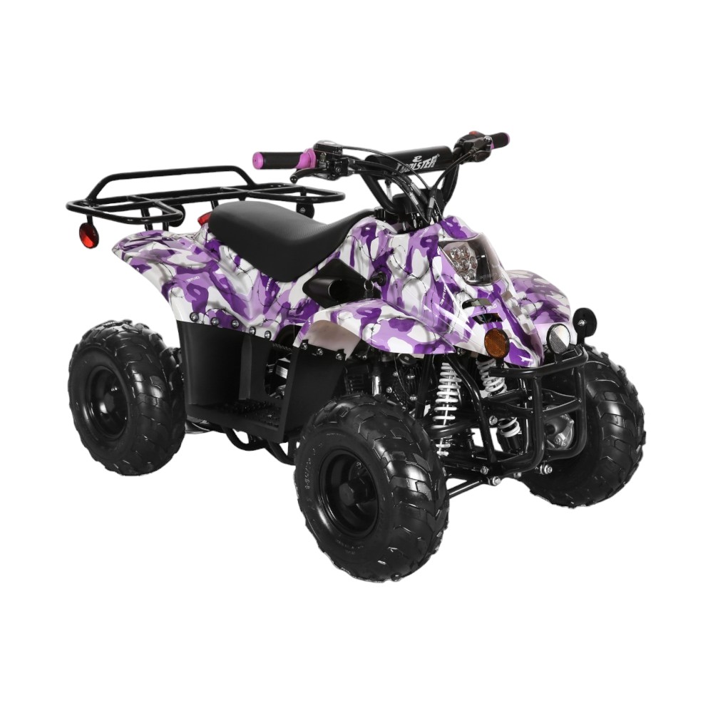 Coolster 110cc ATV - Mini Fully Automatic ATV