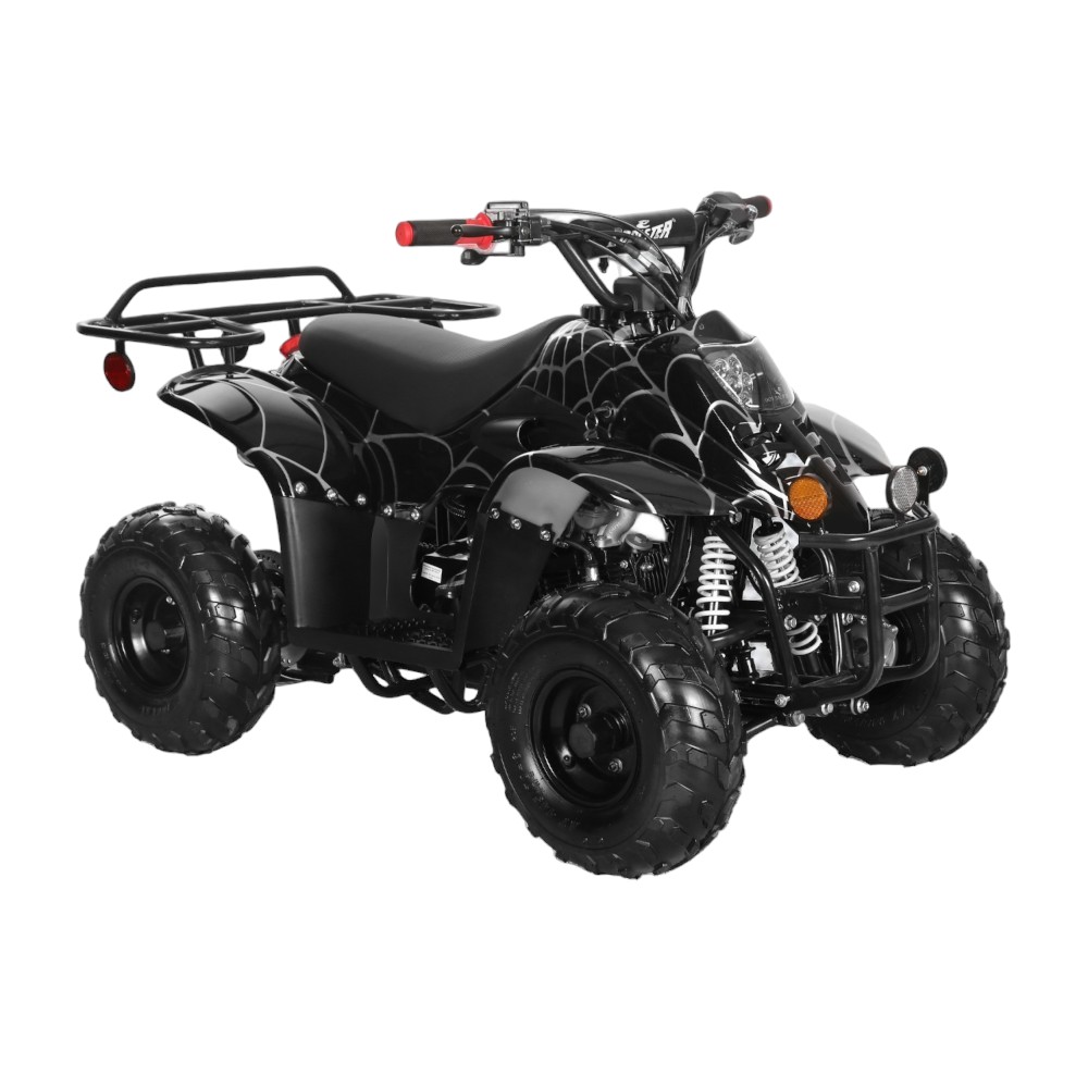 Coolster 110cc ATV - Mini Fully Automatic ATV